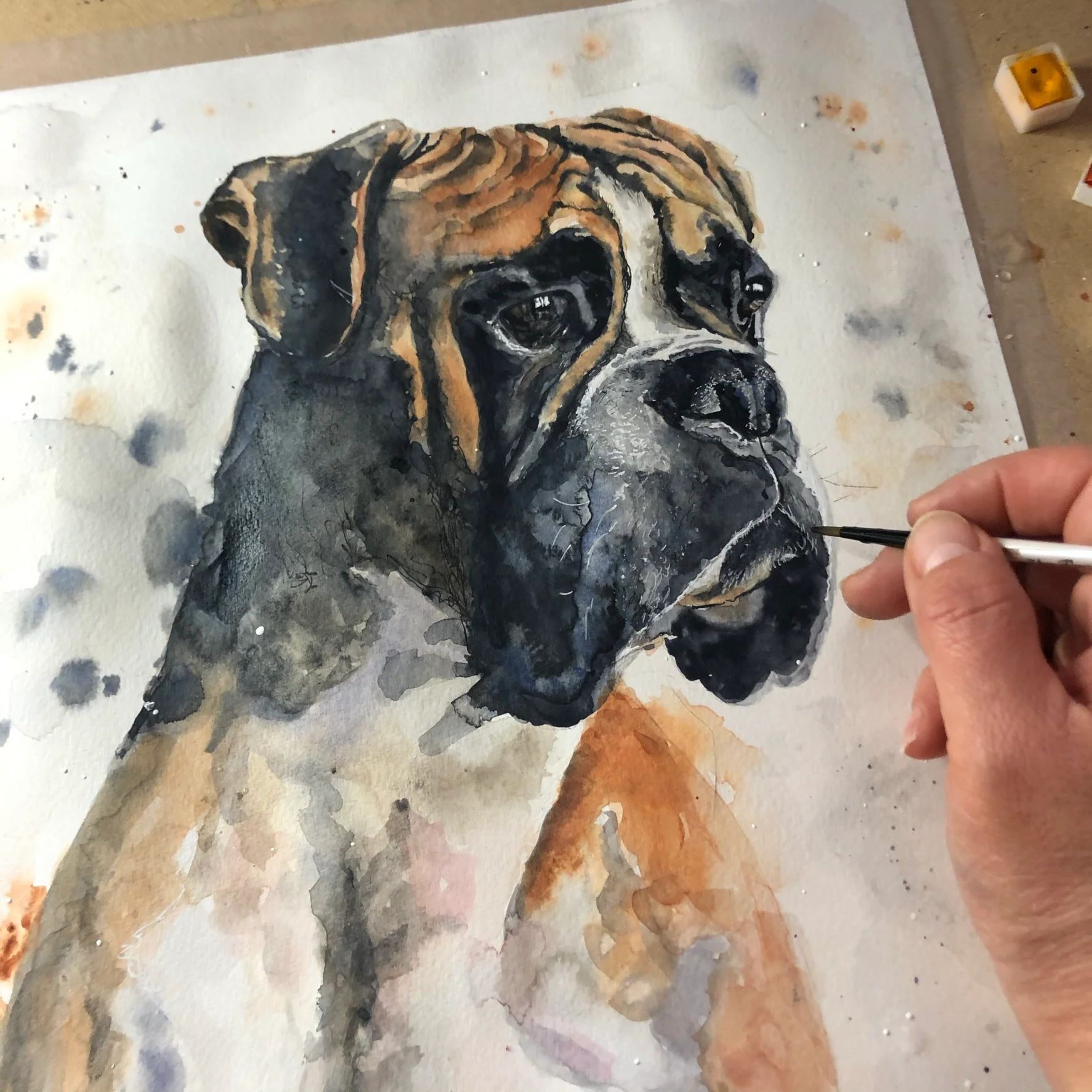 Boxer Dog Pictures and Paintings